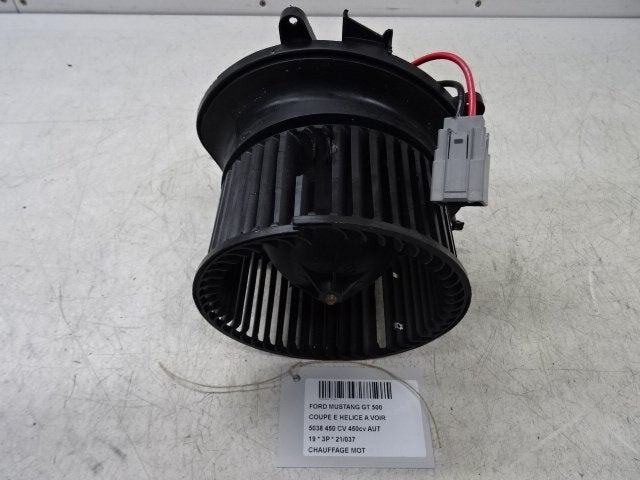 RADIATEUR MOTEUR Ford USA Mustang VI Fastback (FR3B19846A), Mevr. I. Hauben, Pièces américaines, Utilisé, Rue de l'Espoir 34 34
4030  GRIVEGNÉE, BE