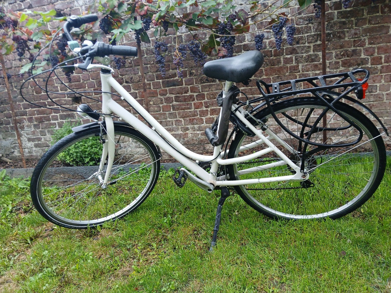 Mooie damesfiets, Enlèvement