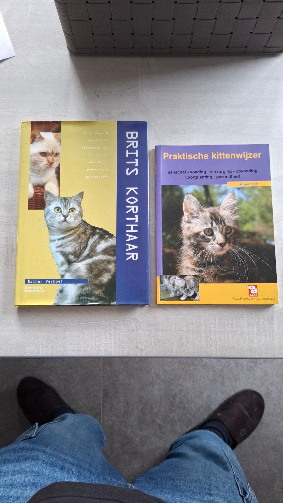 boeken britse korthaar en kittens, Ophalen