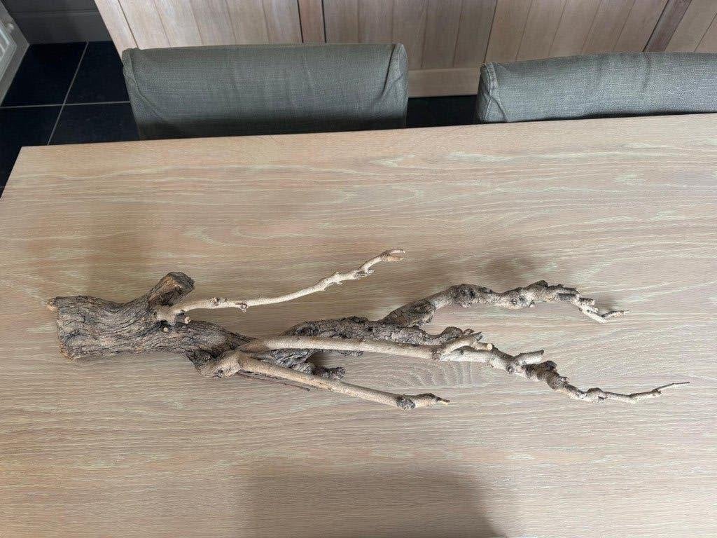 Decoratieve houten tak, Huis en Inrichting, Ophalen, Gebruikt