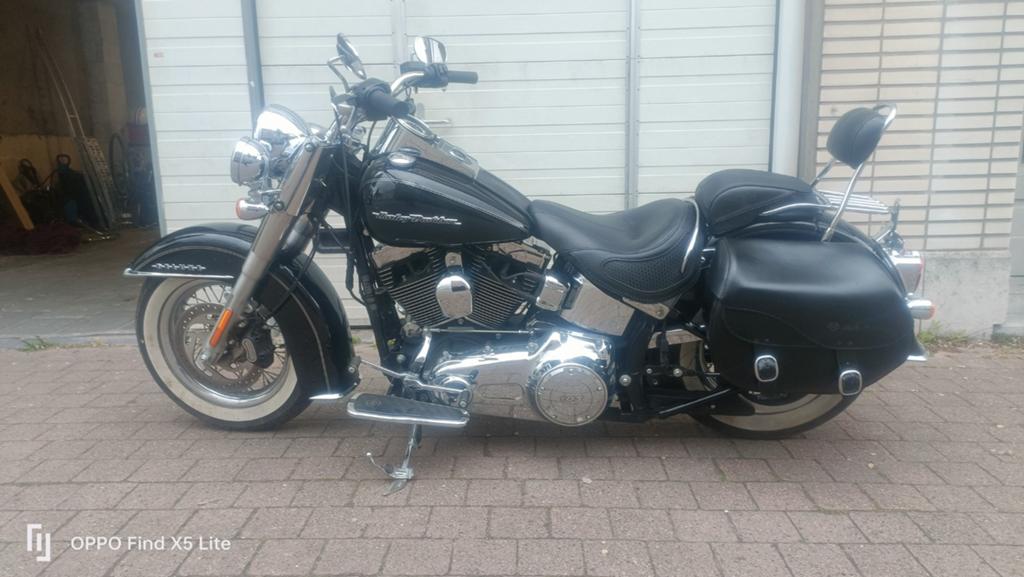 Harley-Davidson sftail deluxe 2016 abs, Motoren, Onderdelen | Harley-Davidson, Ophalen