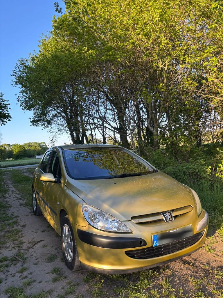 Peugeot 307 1.6 benzine Automaat, Autos, Peugeot, Particulier, Airbags, Verrouillage central, Air conditionné automatique, Cruise Control