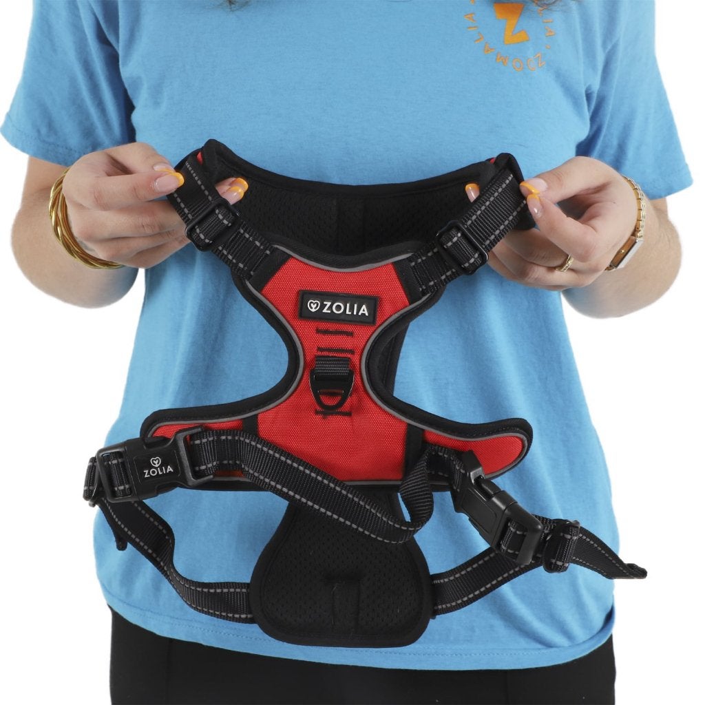 Harnais anti-traction pour chien taille moyenne - NEUF, Autres marques, Enlèvement ou Envoi, Neuf, Harnais pour chien