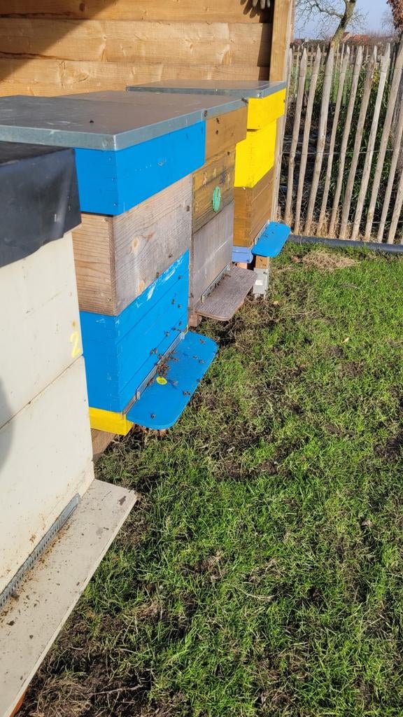 Bijen zoeken een nieuwe standplaats, Tuin en Terras, Ophalen