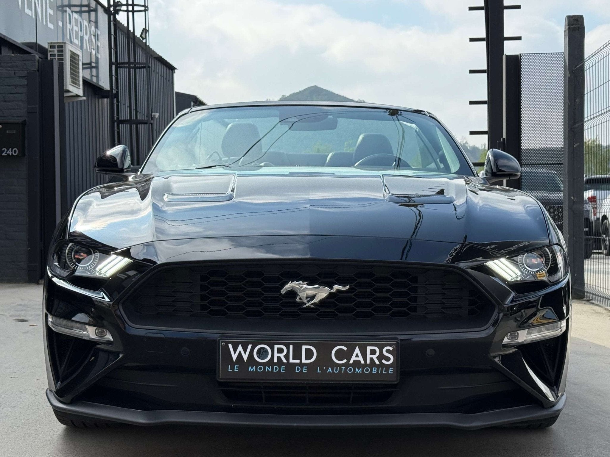 Ford Mustang 2.3 CABRIO - AUTOMATIQUE - COCKPIT - DISTRONIC, Autos, Cuir, Achat, 207 g/km, Euro 6