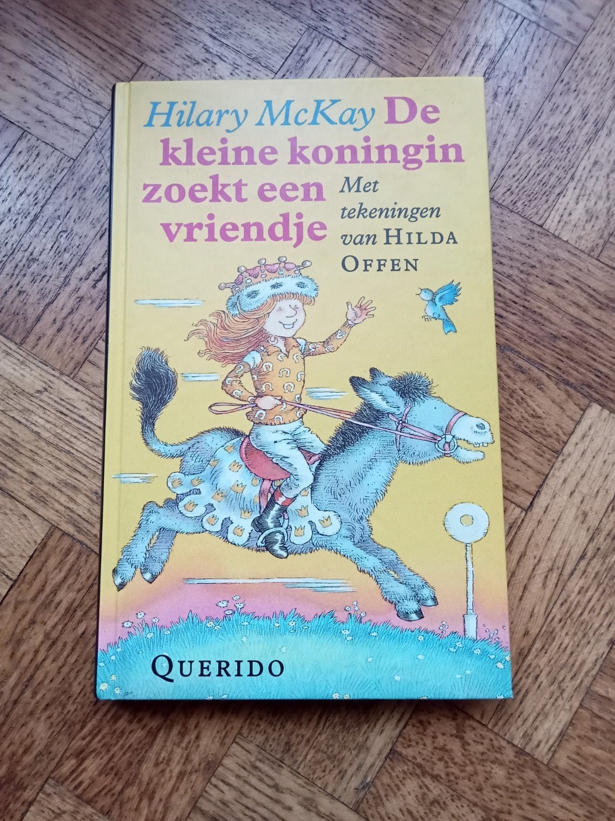 Hilary McKay: De kleine koningin zoekt een vriendje, Ophalen of Verzenden, Gelezen