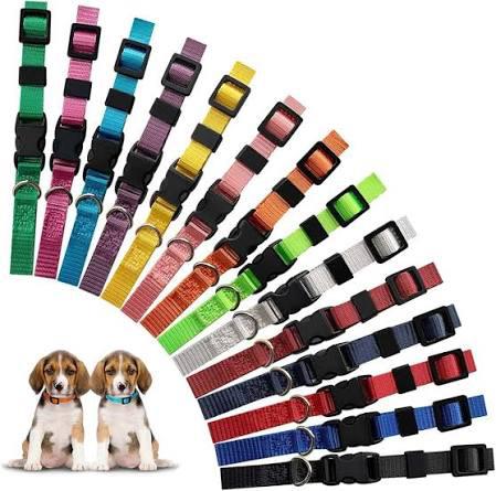 Materiel mise bas chien - A LOUER, Dieren en Toebehoren, Honden-accessoires, Gebruikt, Ophalen