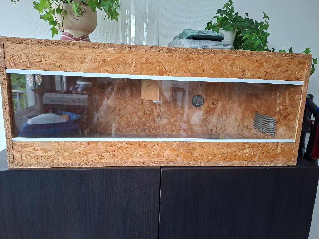 Terrarium, Enlèvement, Comme neuf, Terrarium ou Paludarium