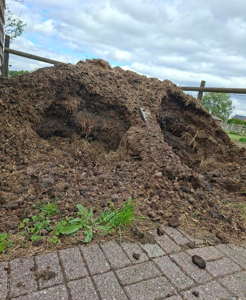 Gratis paardenmest, Enlèvement, Fumier
