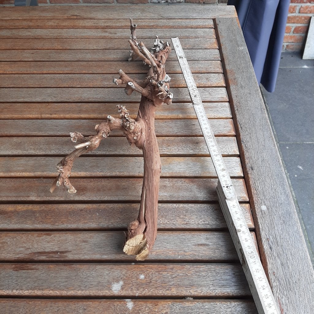 Druiventak, Ophalen, Nieuw
