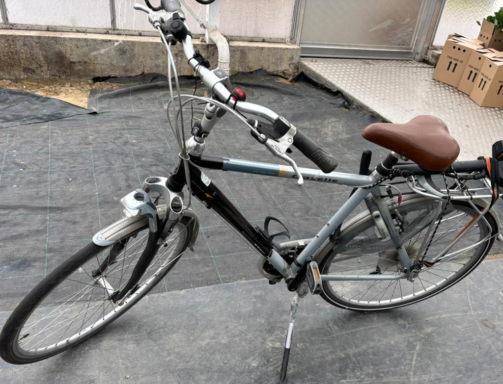 Fiets gazele, Ophalen, Zo goed als nieuw, Gazelle