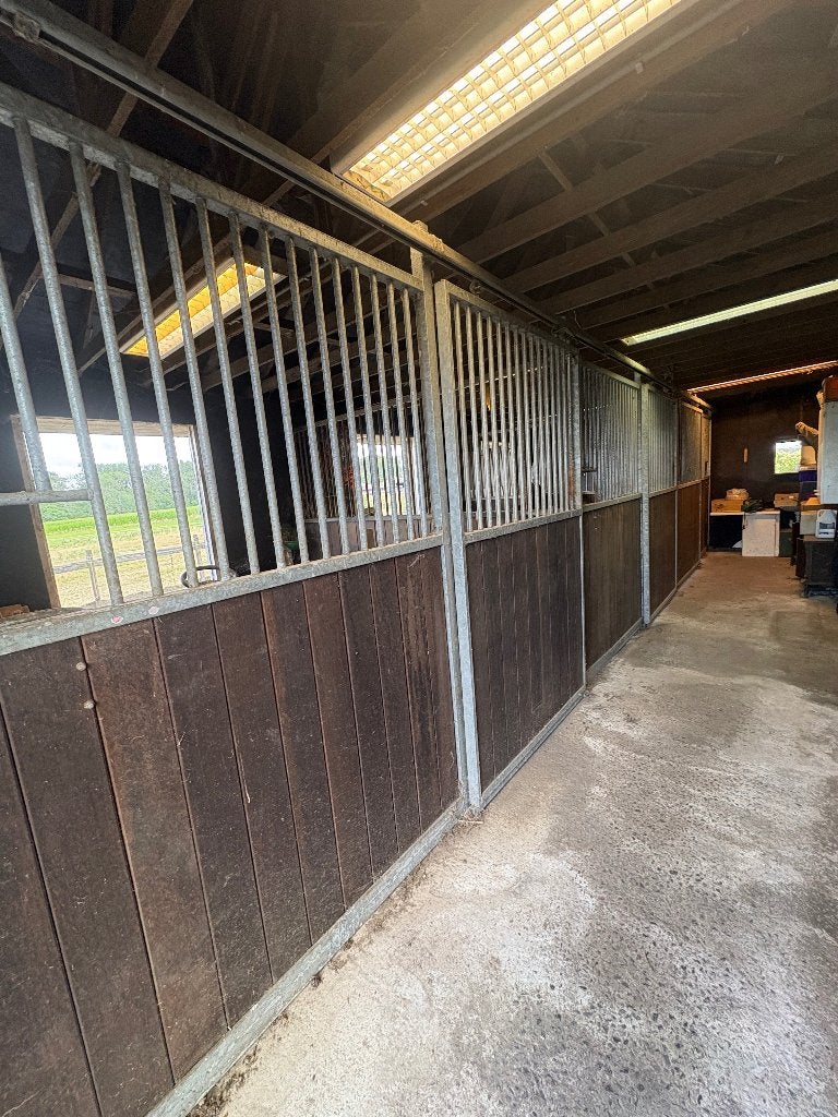 Murs d'écurie pour 3 boxes à chevaux, Animaux & Accessoires, Mise à l'étable, 2 ou 3 chevaux ou poneys