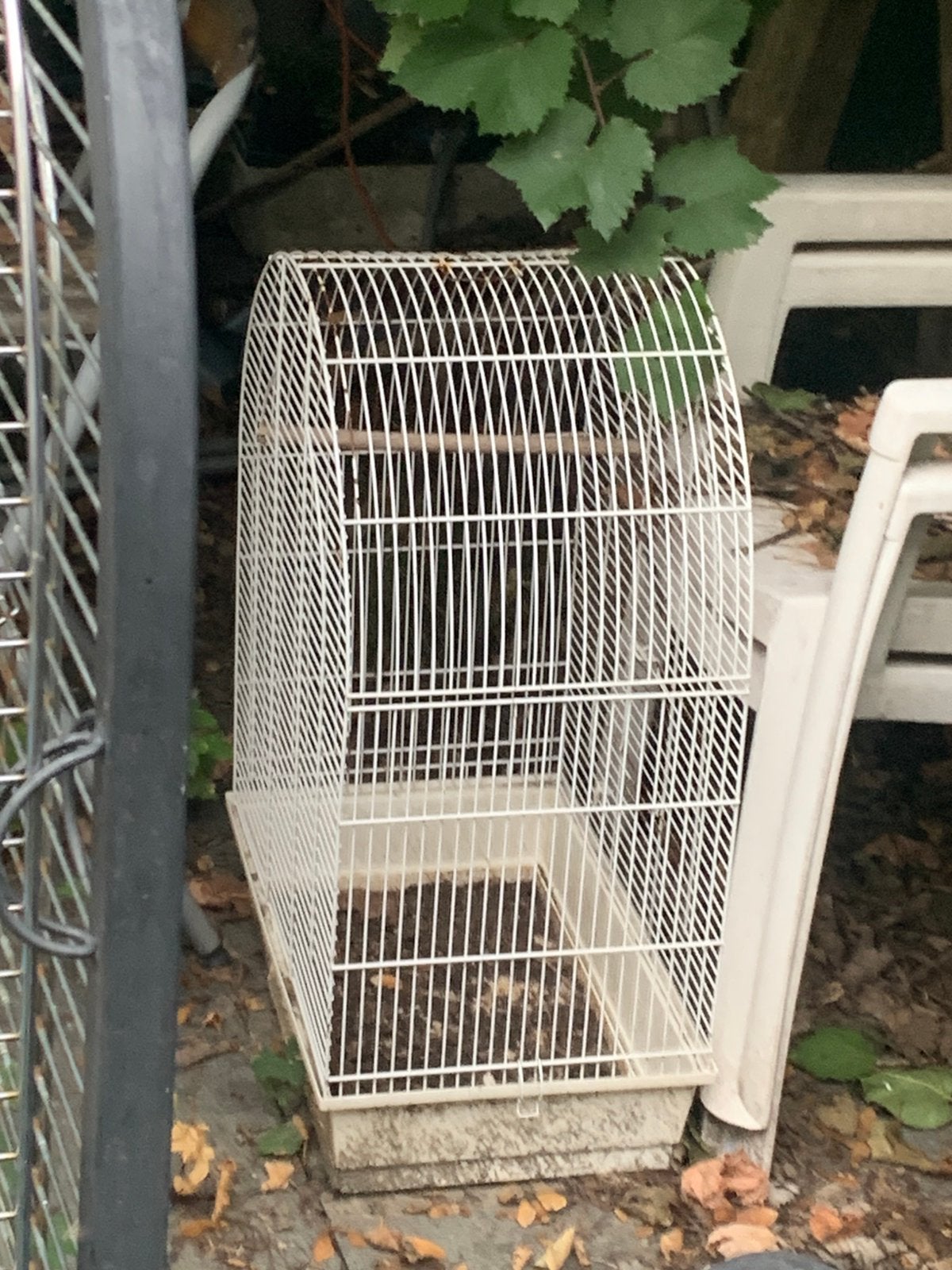 Cage à oiseaux, Enlèvement, Utilisé