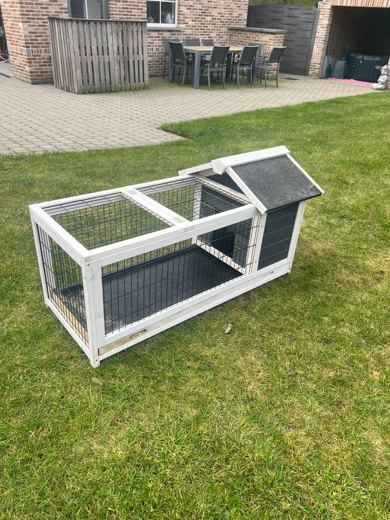 Konijnen hok, Ophalen, Gebruikt, Hok, Hamster