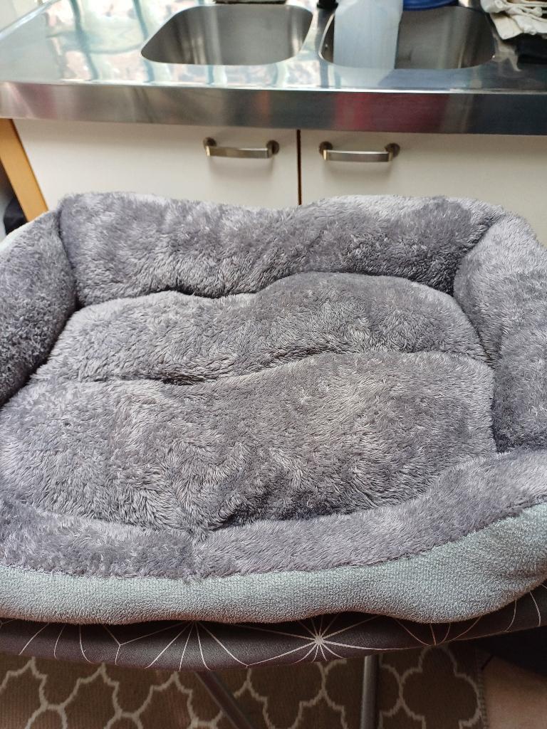 Panier pour animaux 55x35 bon état, Dieren en Toebehoren, Hondenmanden, Ophalen, Gebruikt