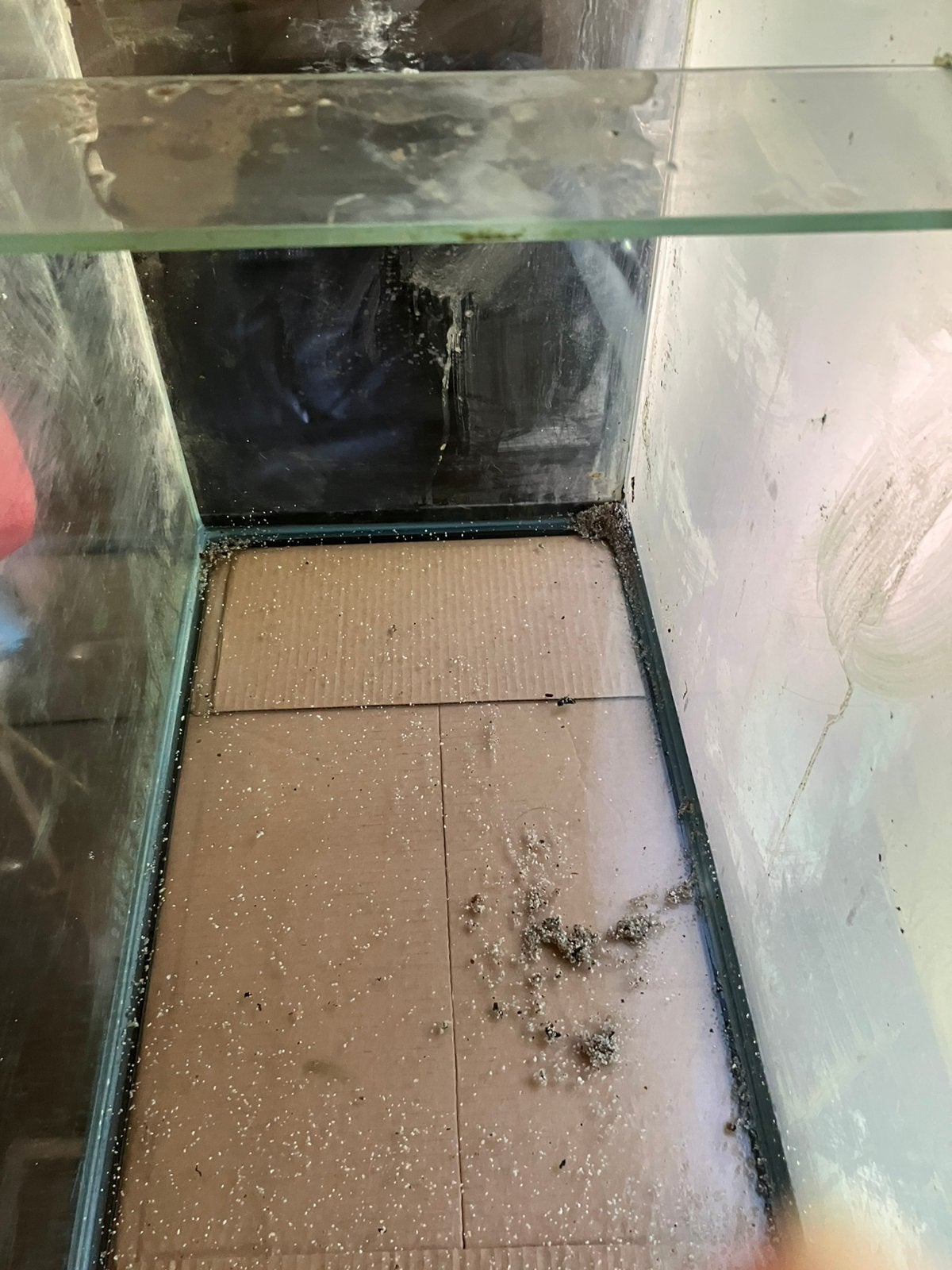 Aquarium, Dieren en Toebehoren, Ophalen, Gebruikt, Verlichting