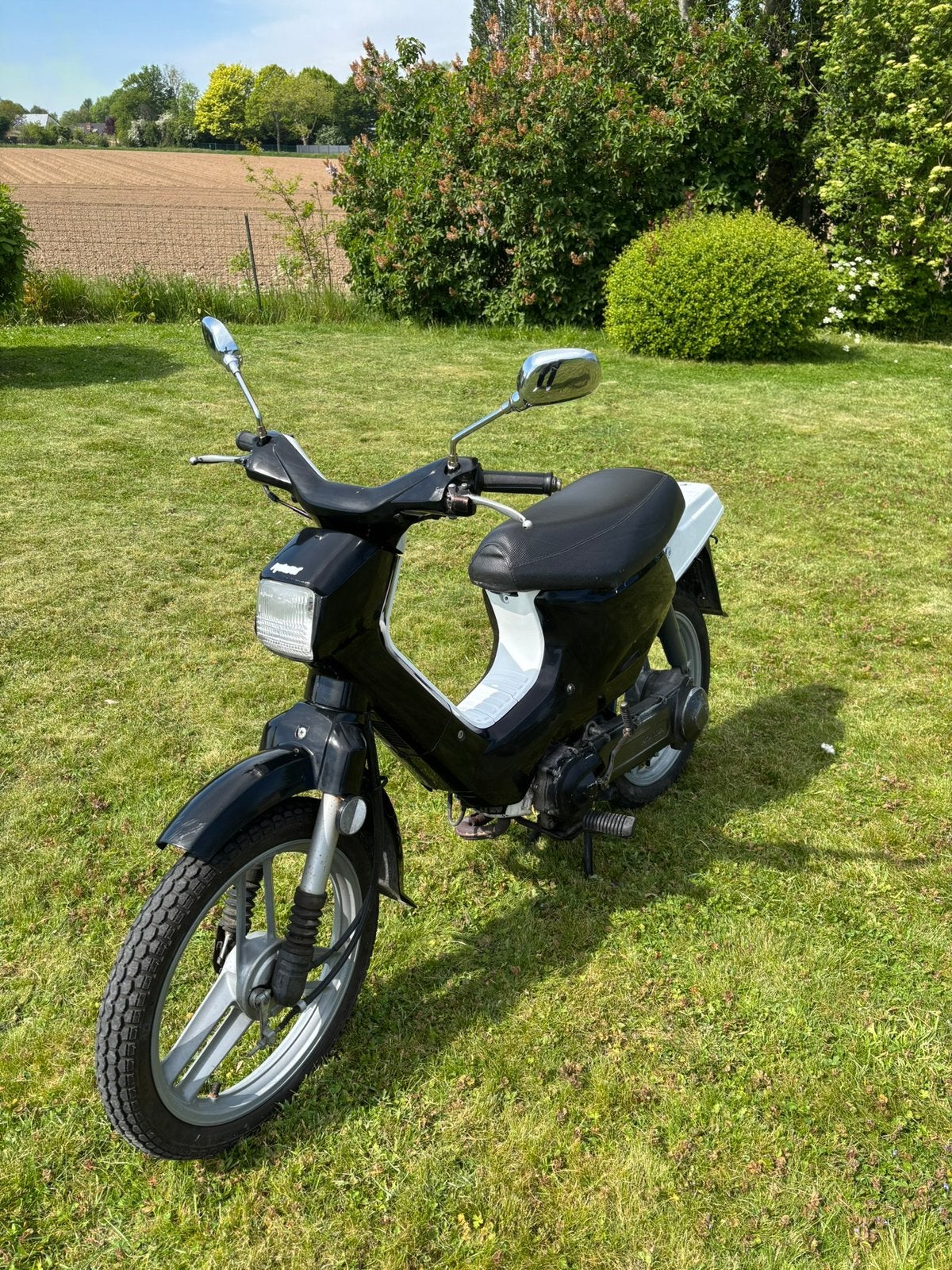 Honda Wallaroo Classe A, Enlèvement