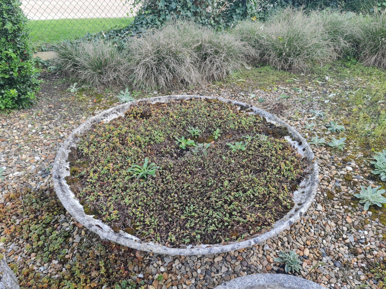 plantenschaal, Tuin en Terras, Ophalen