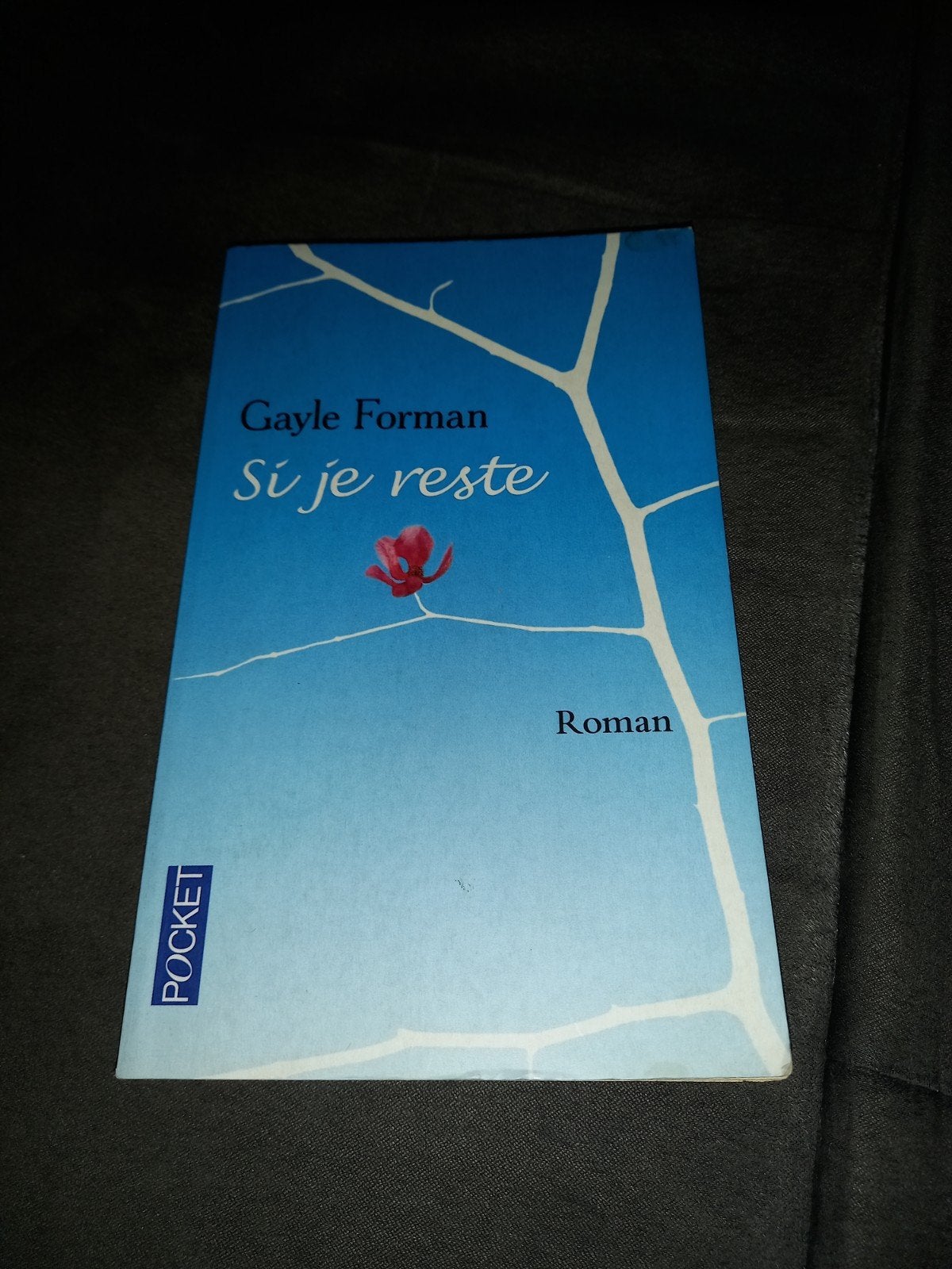 livre si je reste, Enlèvement