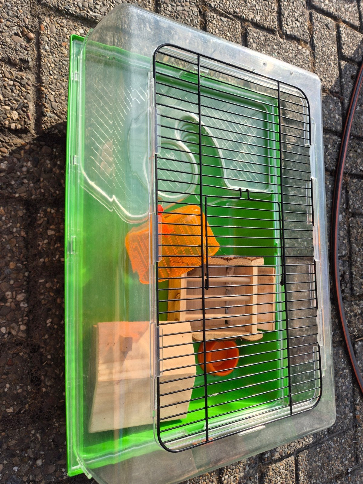 Hamsterkooi, Dieren en Toebehoren, Ophalen