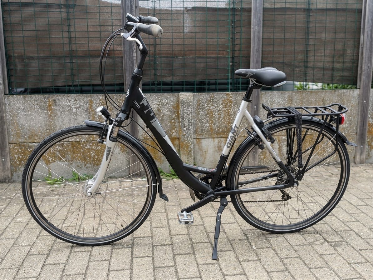 Giant Damesfiets, Fietsen en Brommers, Ophalen, Gebruikt, Giant