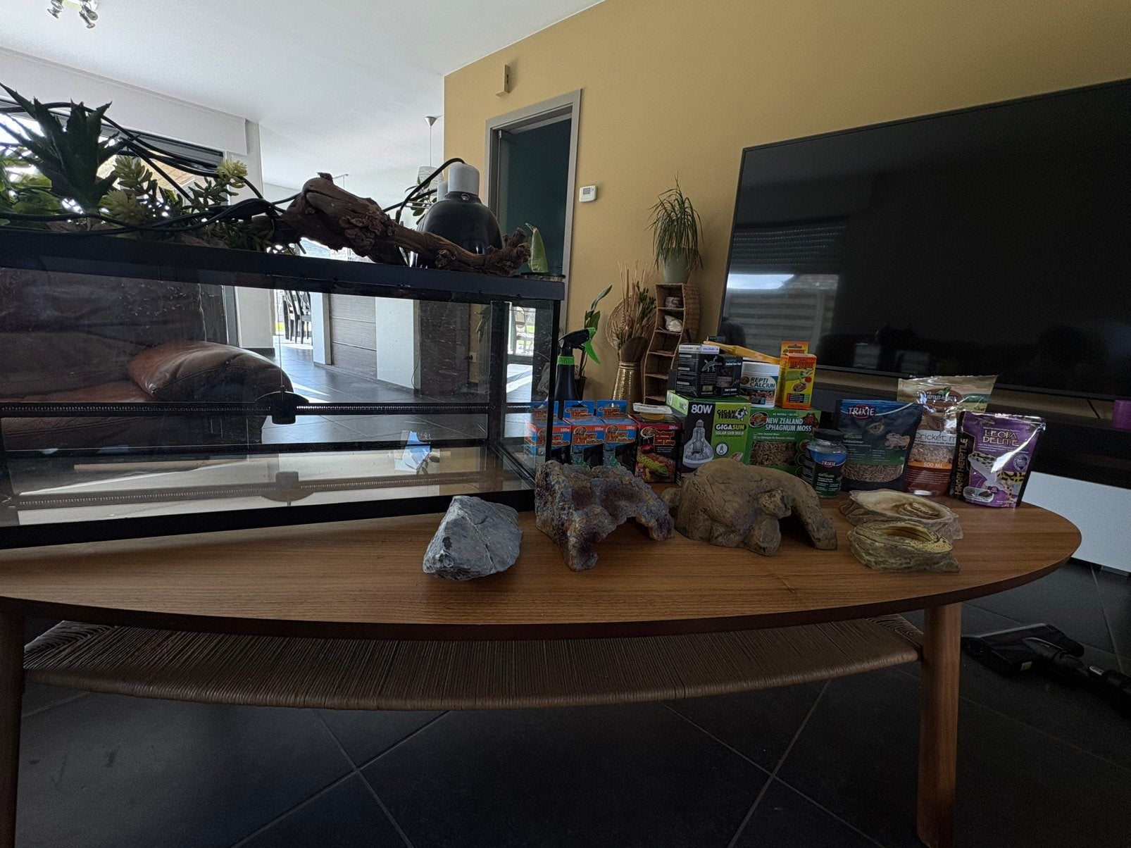 Terrarium met toebehoren - alles samen!, Dieren en Toebehoren, Ophalen, Nieuw