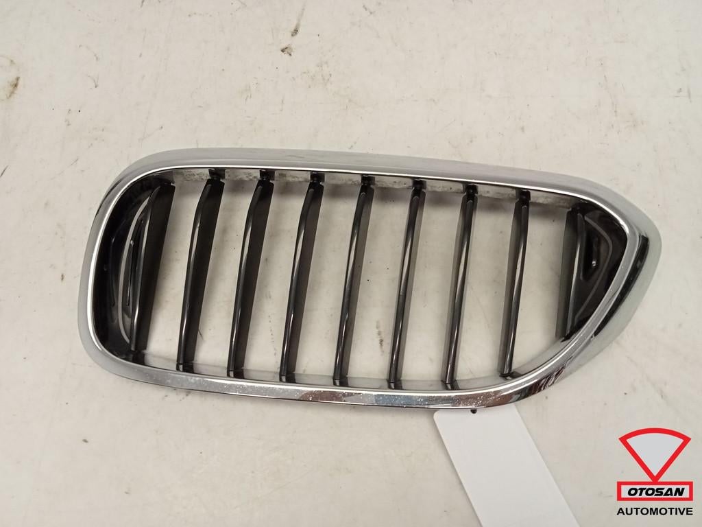 Calandre gauche BMW S rie 5 G30 G31 51137473700, Petuelring 130
80788  Munich, DE, Info@bmw.de, Utilisé, BMW