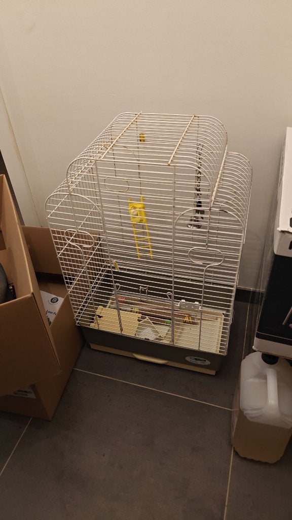 Vogelkooi, Ophalen, Gebruikt, Vogelkooi