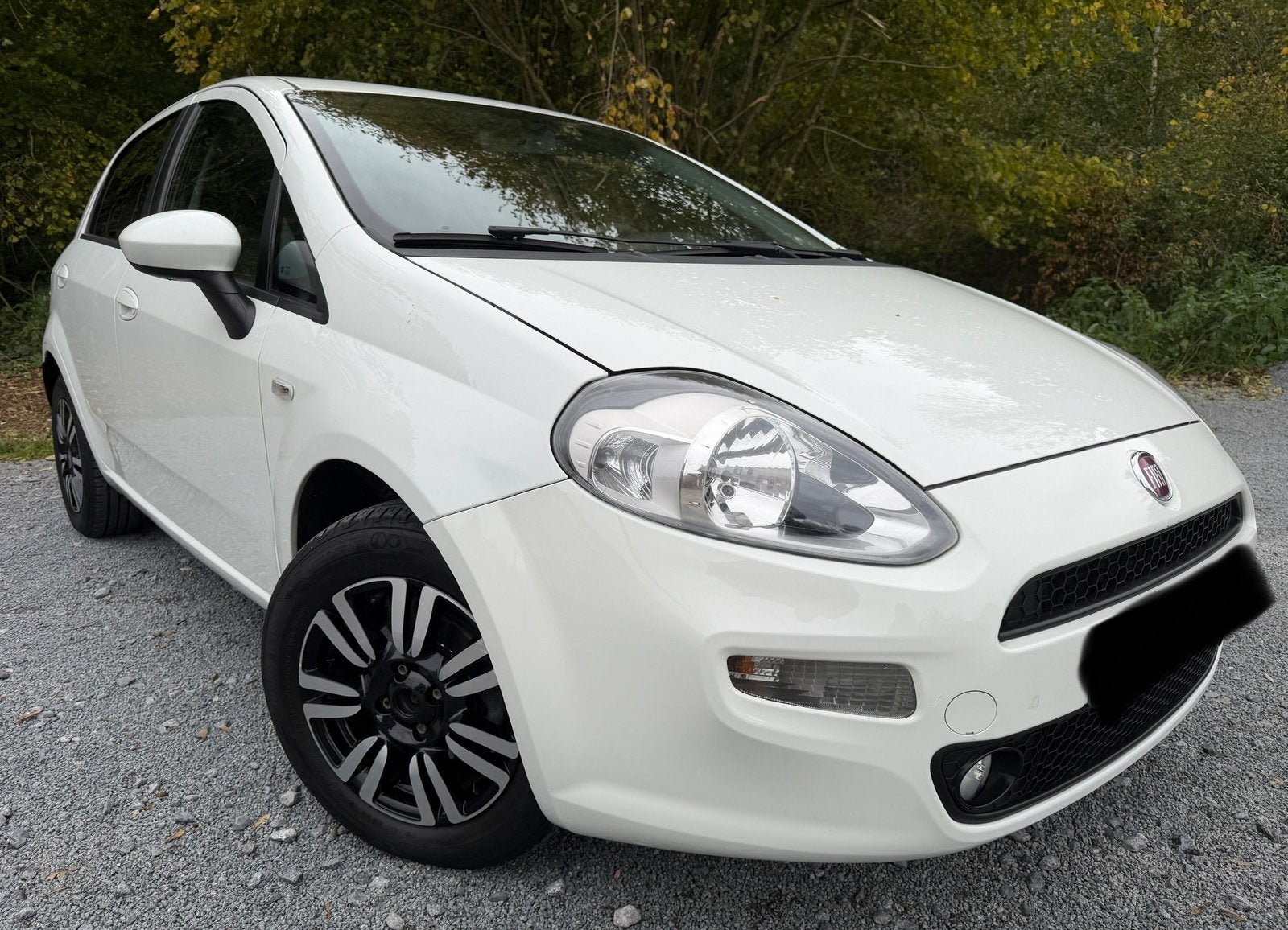 FIAT PUNTO / 1.2L Essence / Euro 6b / 1er propriétaire, Euro 6, Entreprise, Boîte manuelle, 5 portes