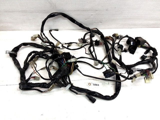 ZZR1400 2005 - 2011 Kawasaki Kabelboom D1-48438