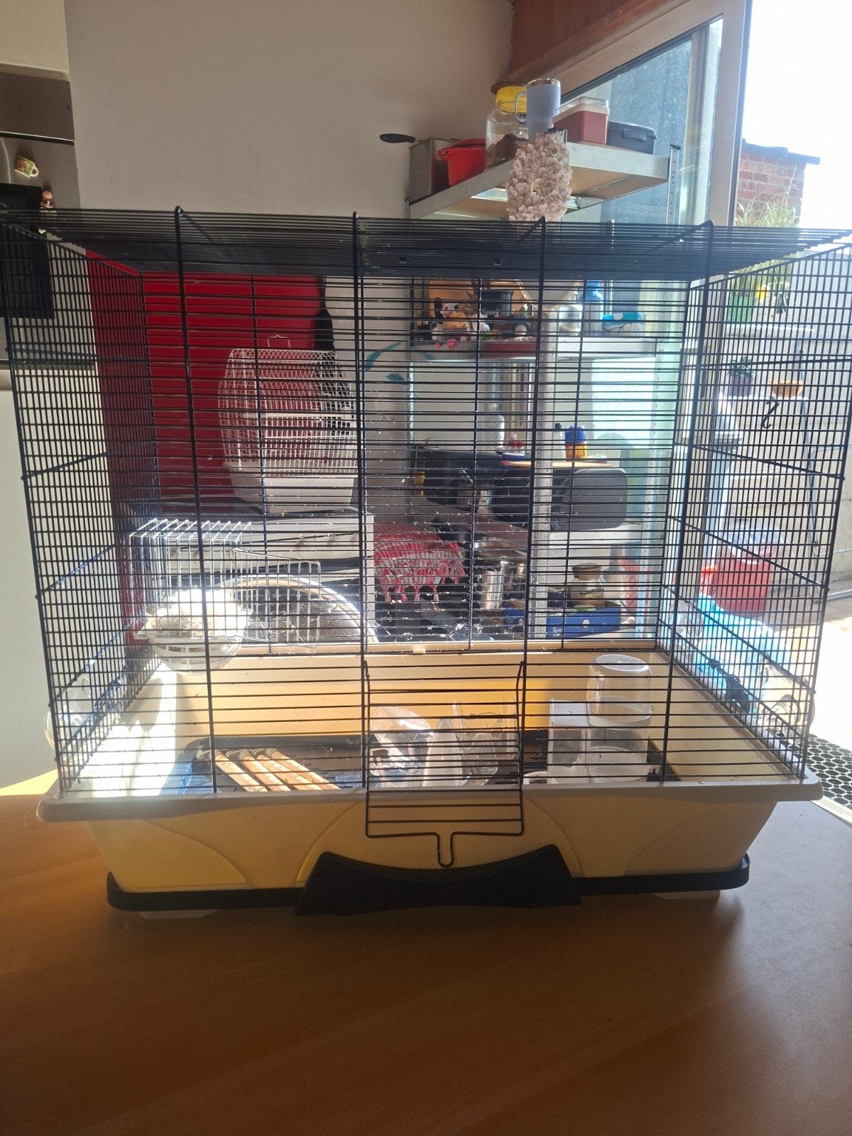 te koop vogel kooi groot formaat, Ophalen, Zo goed als nieuw, Metaal, Vogelkooi