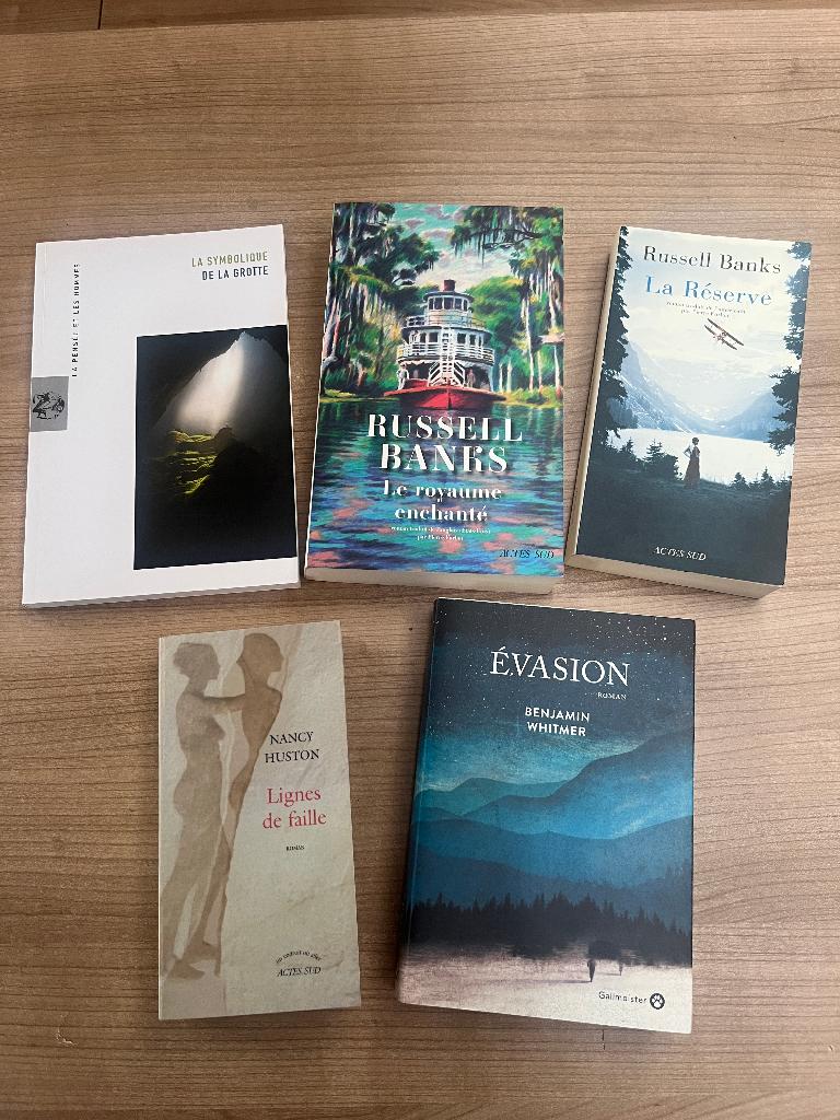 AMERIKAANSE LITERATUUR - GROTE FORMATEN, Ophalen of Verzenden, Gelezen, Divers auteurs.