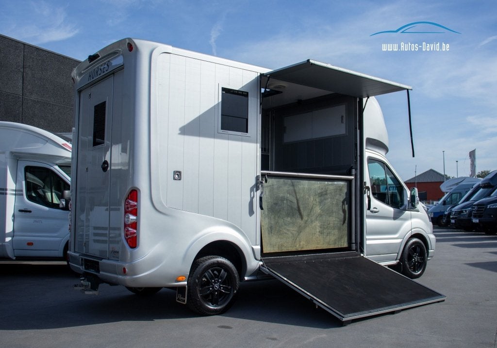 Camion équestre Roelofsen Parados Sport Ford Transit 350 L4, Autos, Cuir, Argent ou Gris, Achat, Euro 6