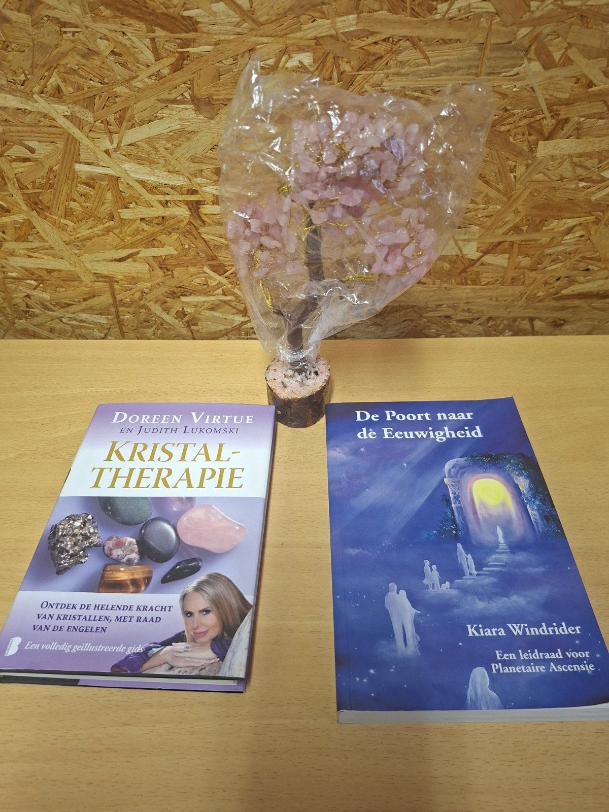 spirituelen boeken+ steen boom, Ophalen, Zo goed als nieuw, Overige onderwerpen, Overige typen