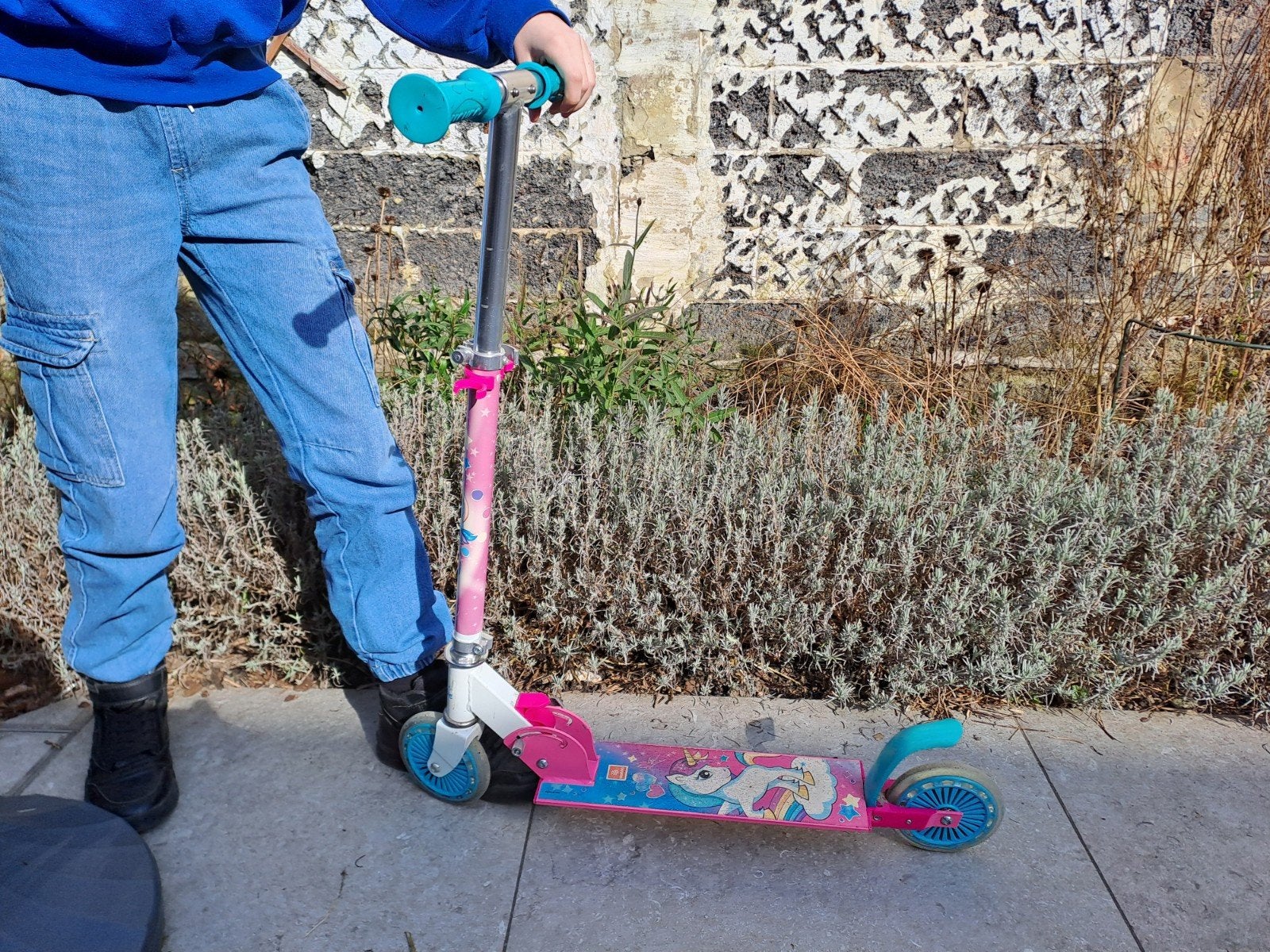 Kinderstep unicorn, Ophalen, Gebruikt, Gewone step