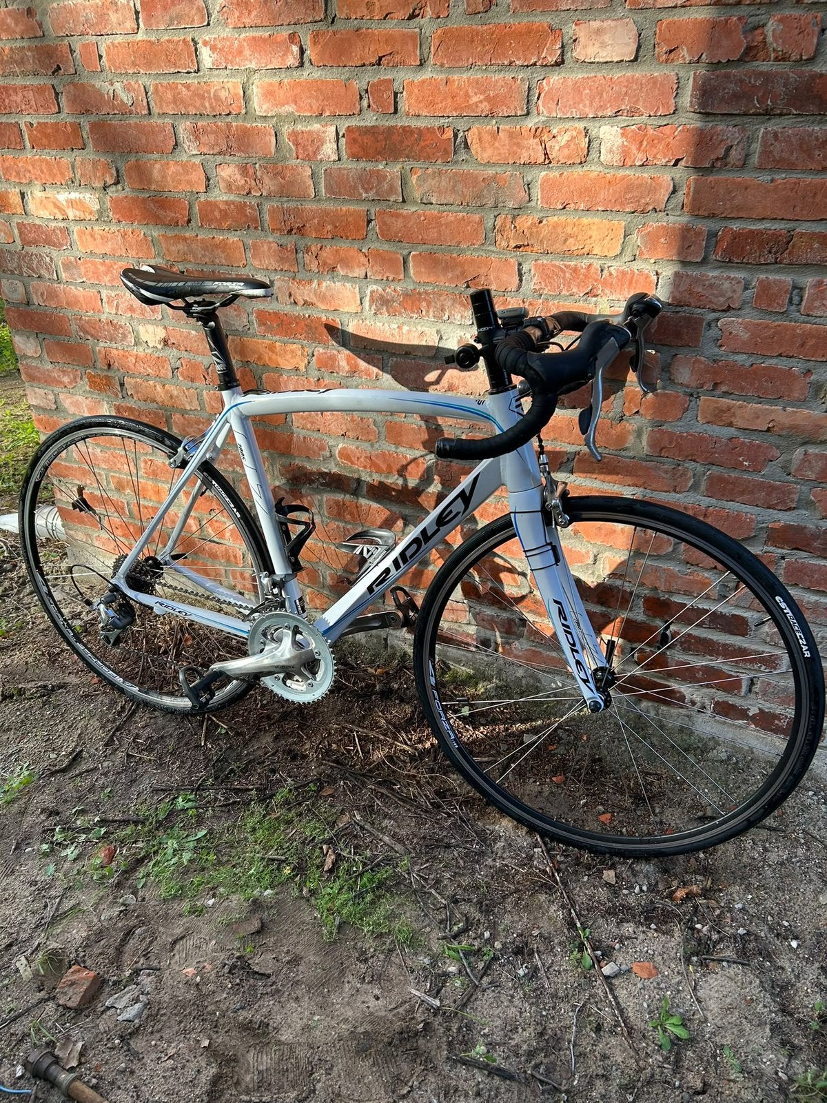 Racefiets / koersfiets Ridley dames, Ophalen, Zo goed als nieuw, Dames