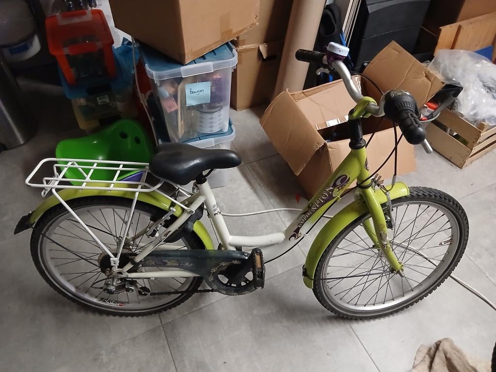 Gouden leeuw 5 speed 22" groene meisjesfiets