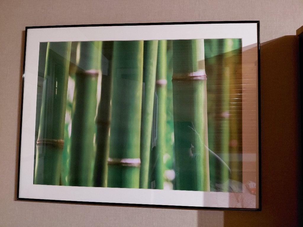 Kunstfoto bamboe met kader, Ophalen, Foto, Fotografie, Achter glas