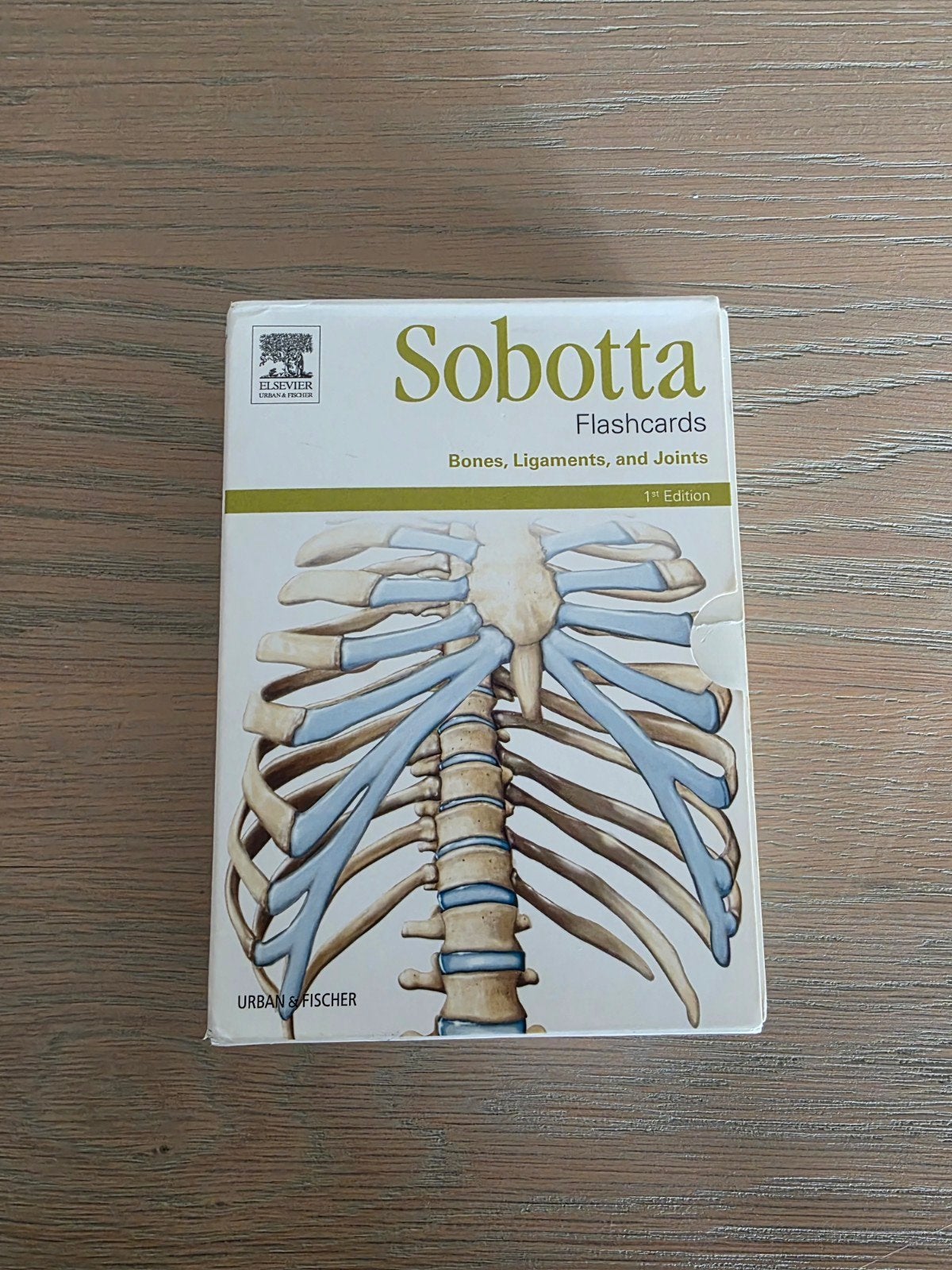 Sobotta Flashcards Bones, Ligaments, and joints 1st edition, Boeken, Studieboeken en Cursussen, Ophalen of Verzenden, Zo goed als nieuw