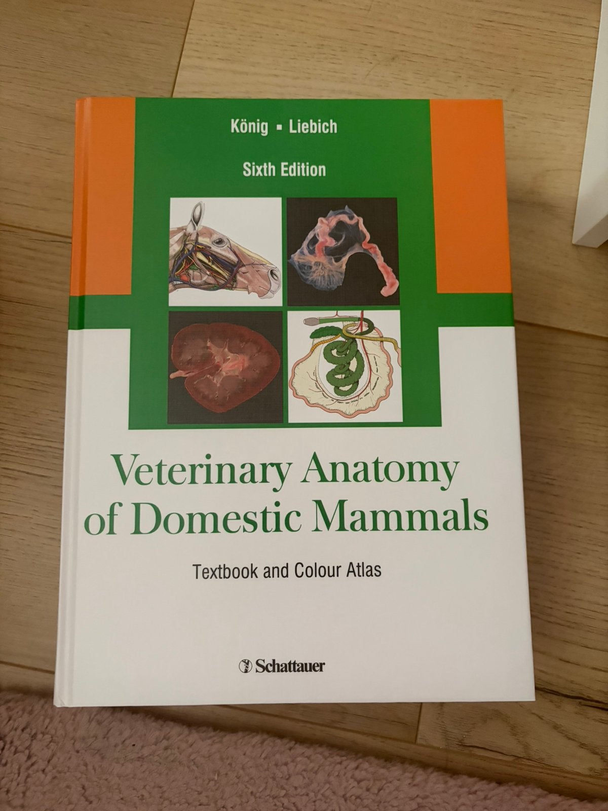 Veterinary Anatomy of Domestic Animals, Boeken, Ophalen of Verzenden