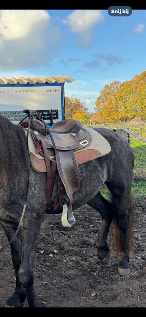 Billy cook westernzadel, Dieren en Toebehoren, Ophalen of Verzenden
