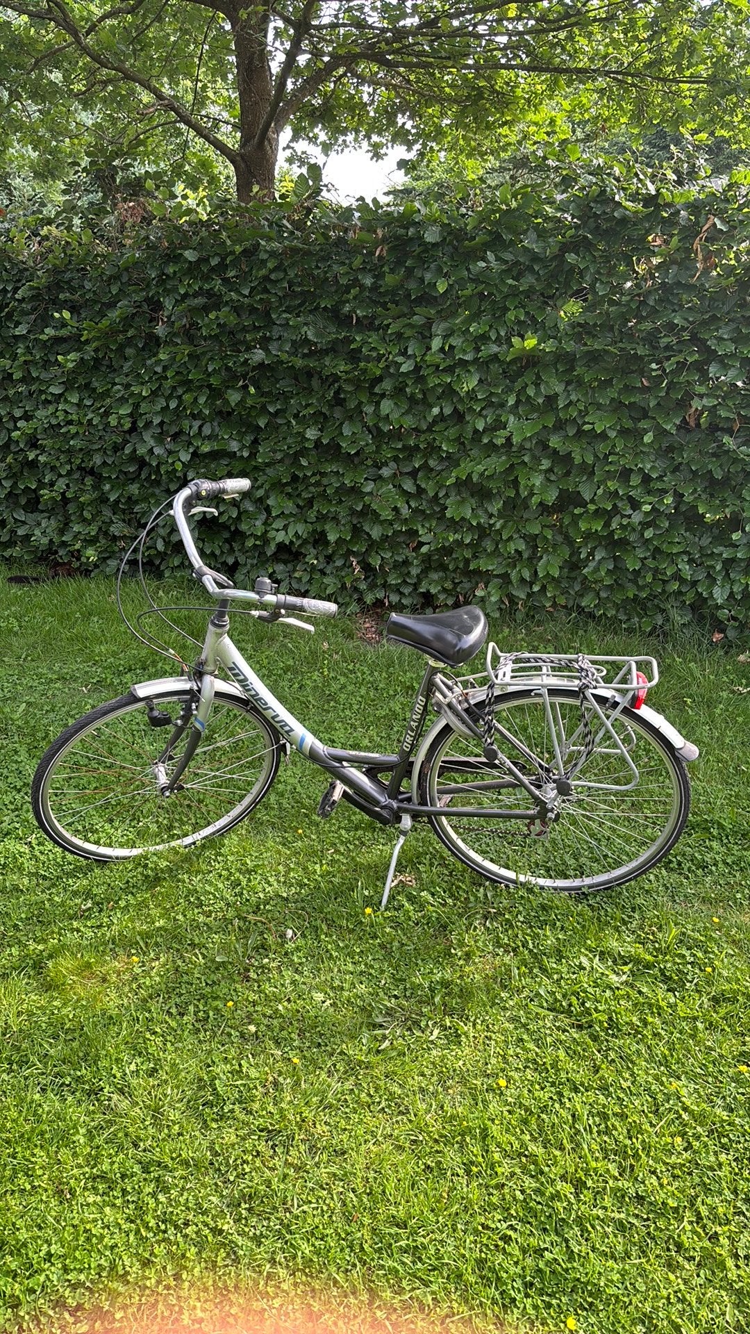 Minerva vrouwen fiets, Velgrem, Versnellingen, Ophalen, Overige merken