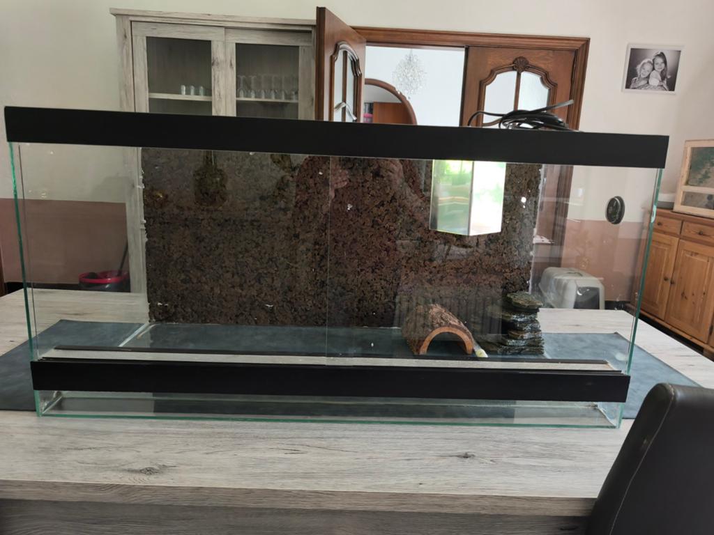 Glazen terrarium, Ophalen