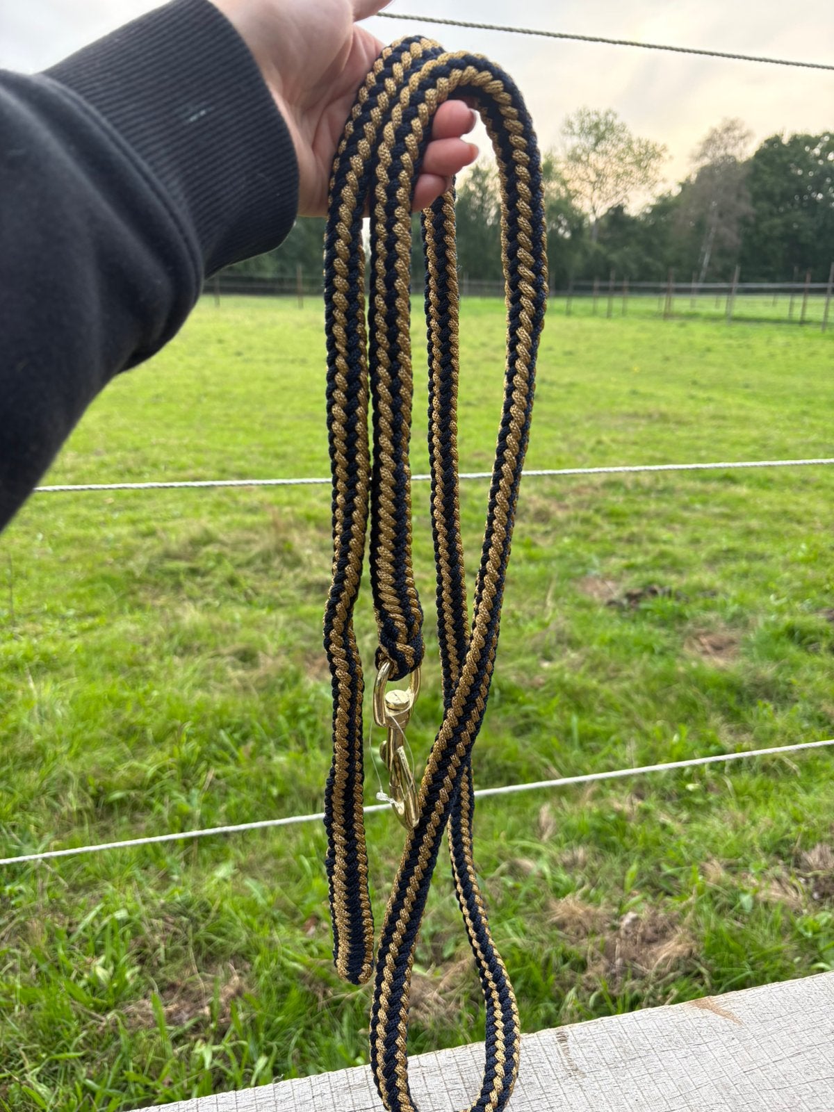 Halstertouw zwart/goud – NIEUW, Dieren en Toebehoren, Ophalen, Goud