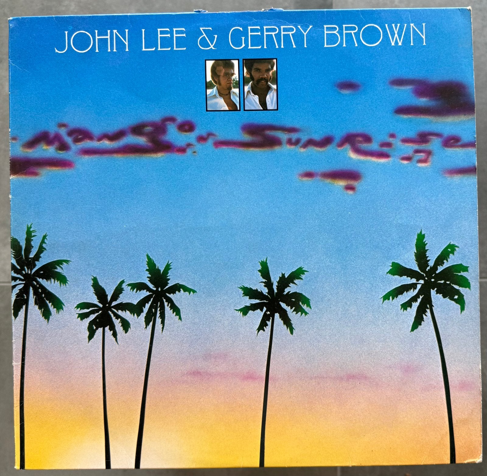 LP John Lee & Gerry Brown, CD & DVD, Vinyles | Jazz & Blues, Enlèvement ou Envoi, Utilisé, Jazz fusion, LP