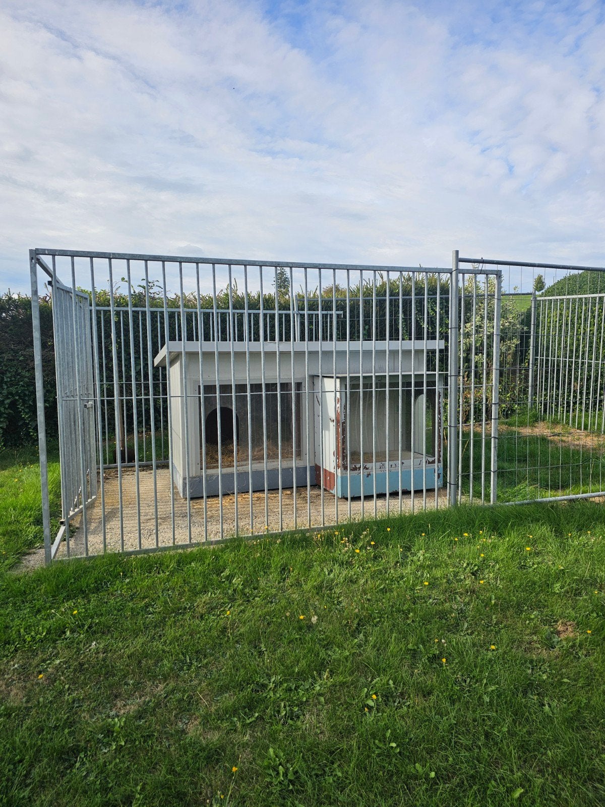 Grande niche pour chien isolée, Enlèvement, 100 cm ou plus, 110 cm ou plus, Niche à chien