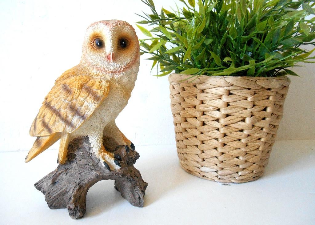 Image d'un hibou, Antiquités & Art, Curiosités & Brocante, Enlèvement ou Envoi