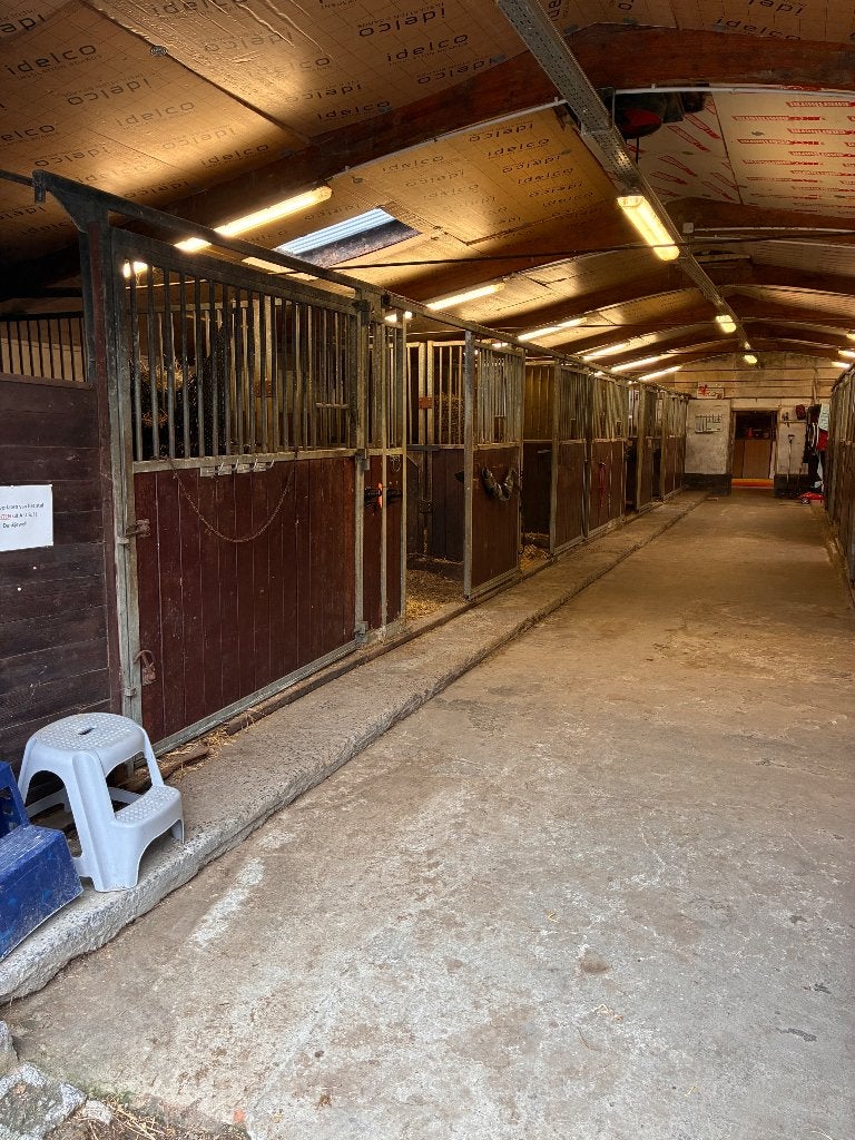 Boxes et écuries pour chevaux, Animaux & Accessoires