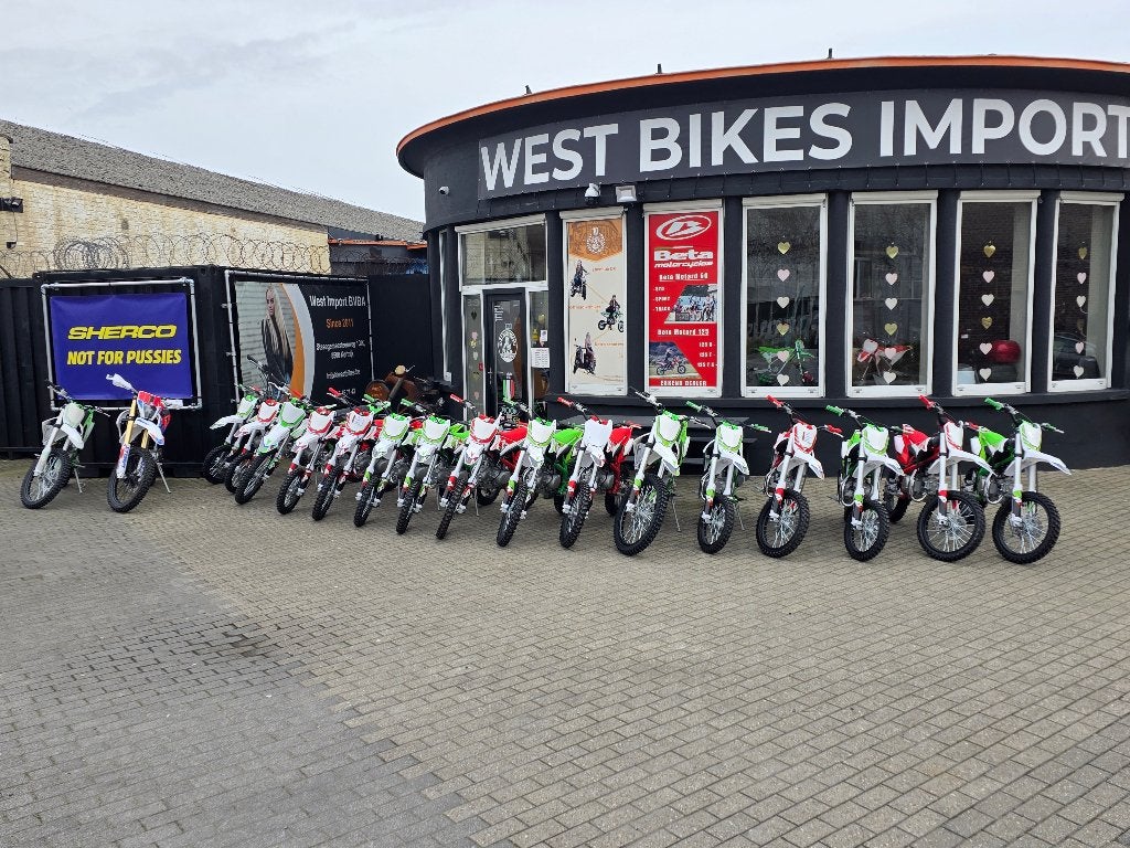 Nouveau Thunder Pitbike 125cc, 140cc ou 250cc 300cc, Neuf, Apollo, Enlèvement ou Envoi, 125 cm³