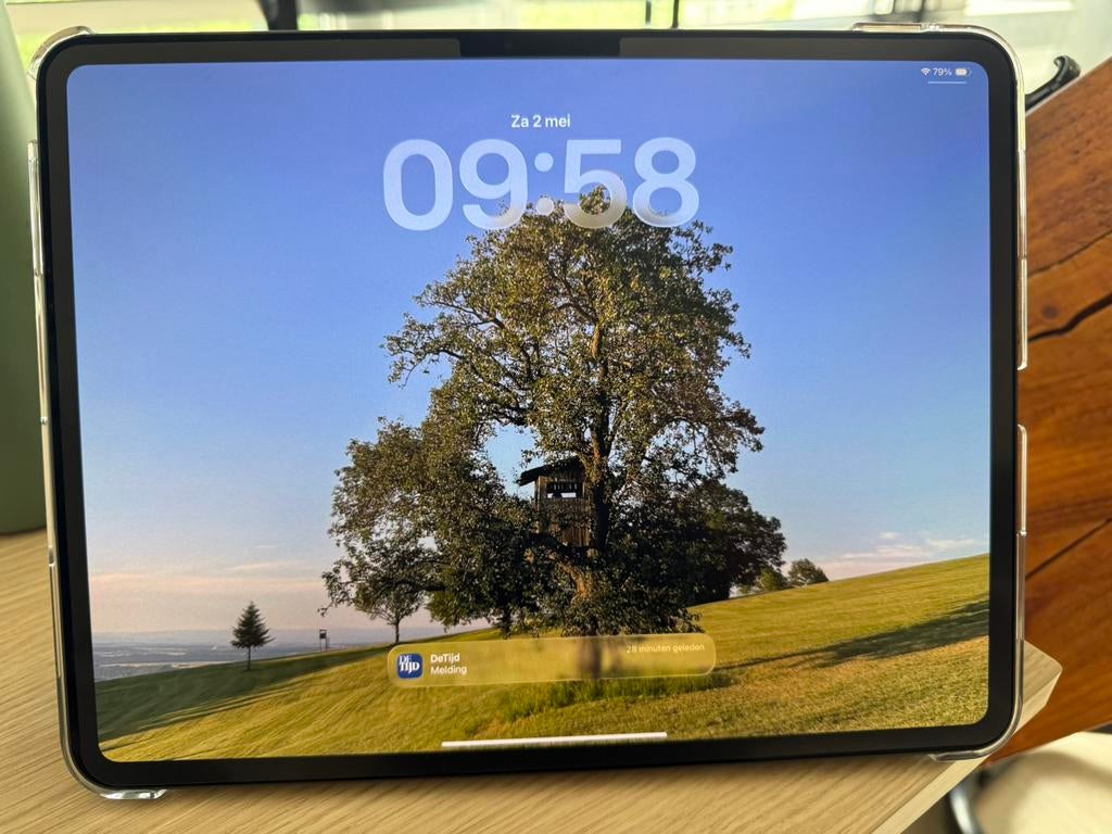 Apple iPad Pro (M4) 13 inch - 256 GB - 100% max capacity, Computers en Software, Apple iPads, Ophalen, 13 inch of meer, Zwart